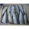 Seafood Export Frozen Mackerel Fillet Price Fish